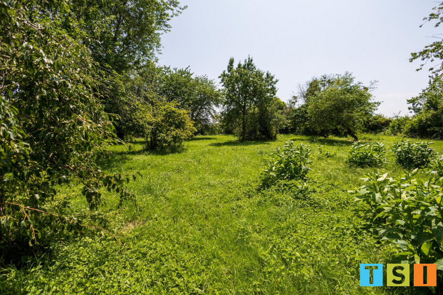 vente Maison bourgeoise Daumazan Sur Arize - Photo 4