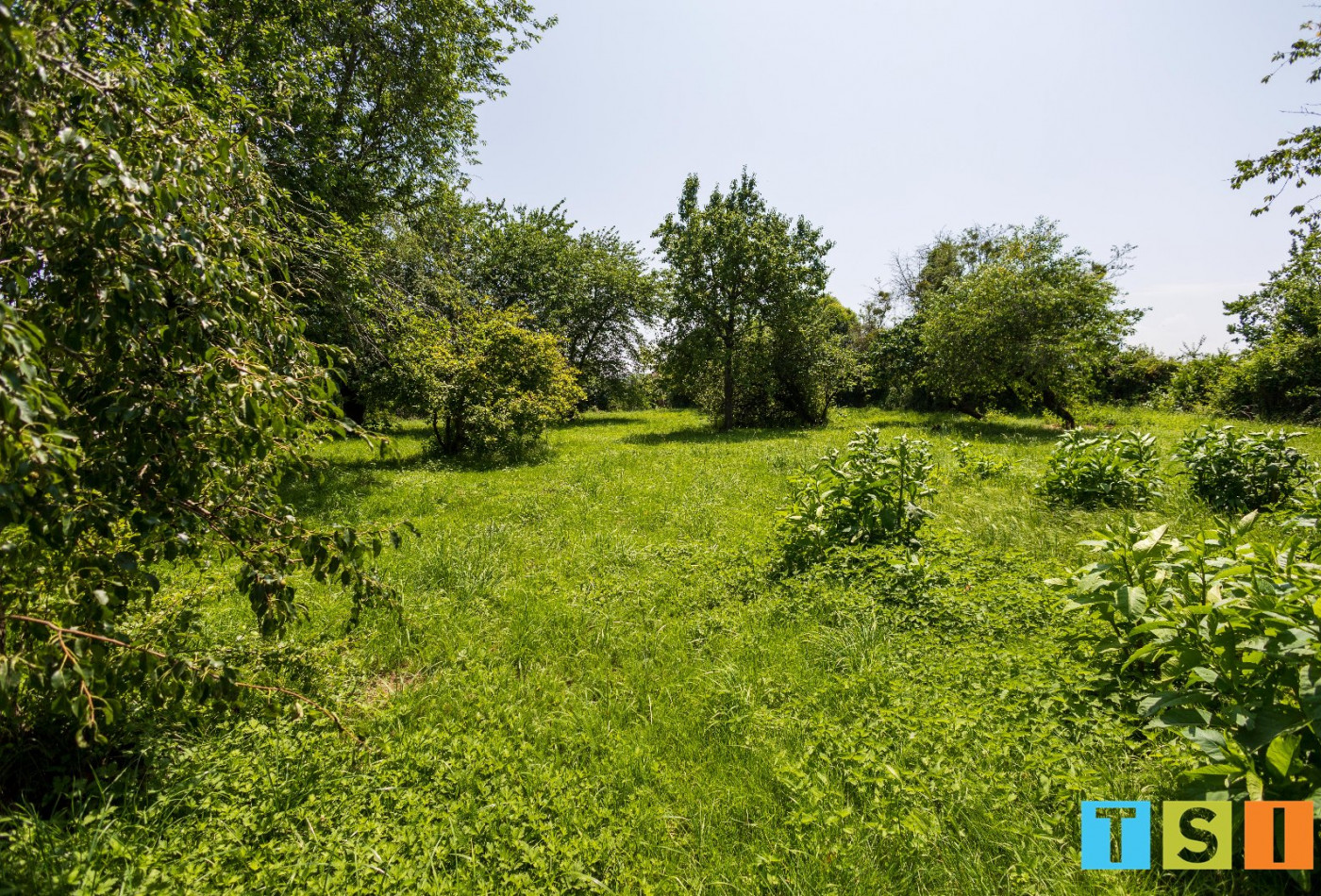 vente Maison bourgeoise Daumazan Sur Arize - Photo 4