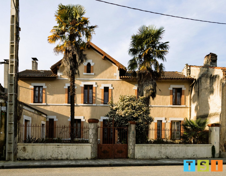 vente Maison bourgeoise Daumazan Sur Arize - Photo 1