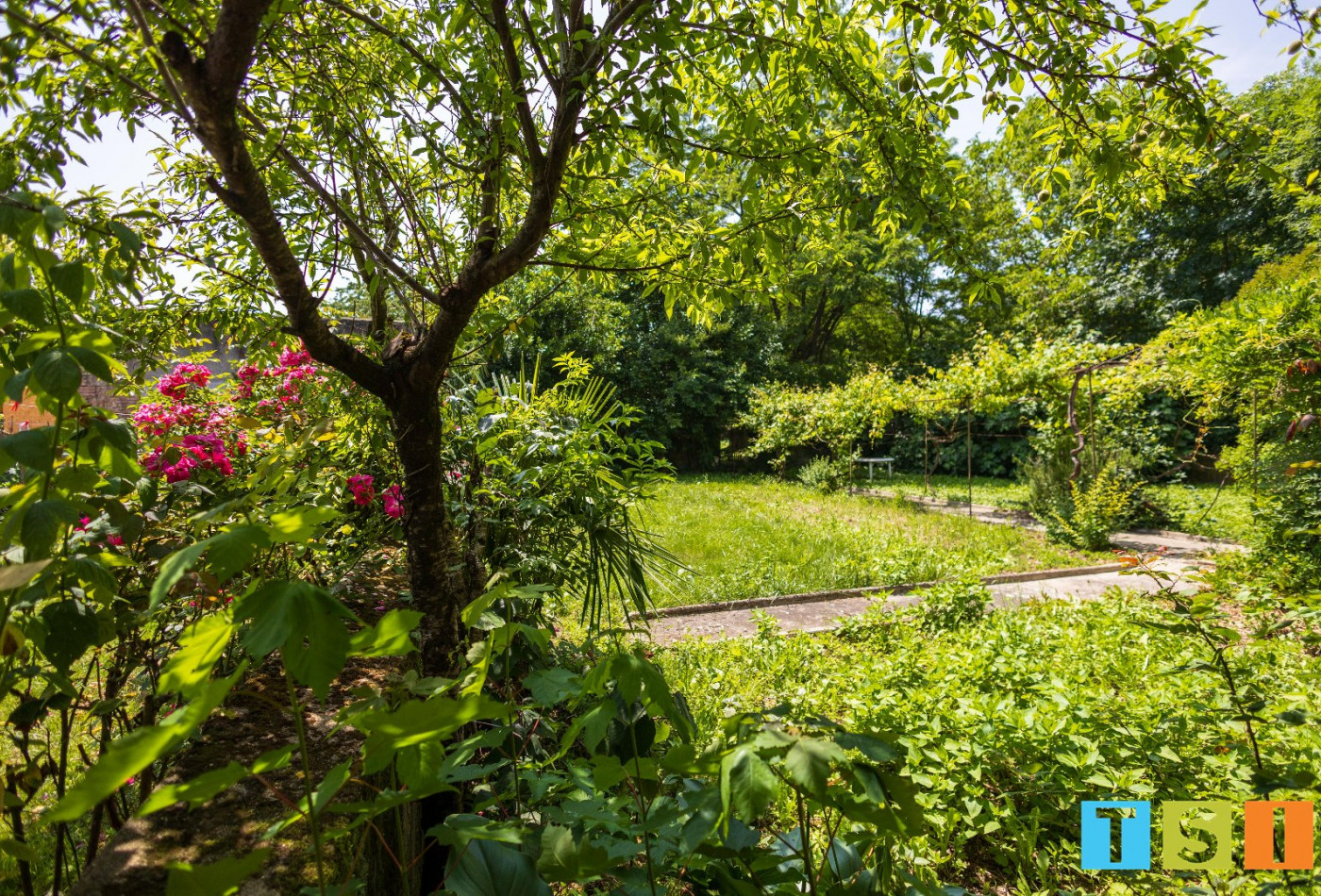 vente Maison bourgeoise Daumazan Sur Arize - Photo 3
