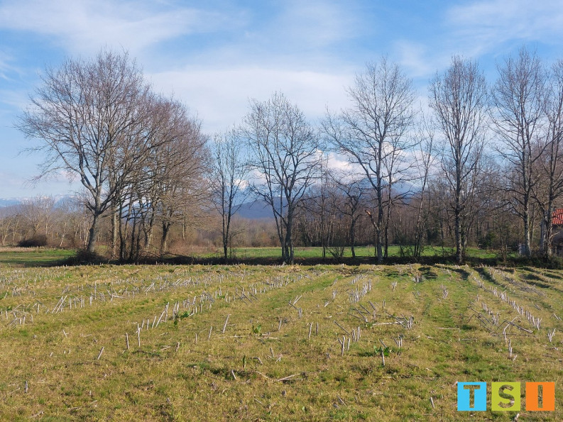 vente Terrain constructible Les Tourreilles - Photo 6