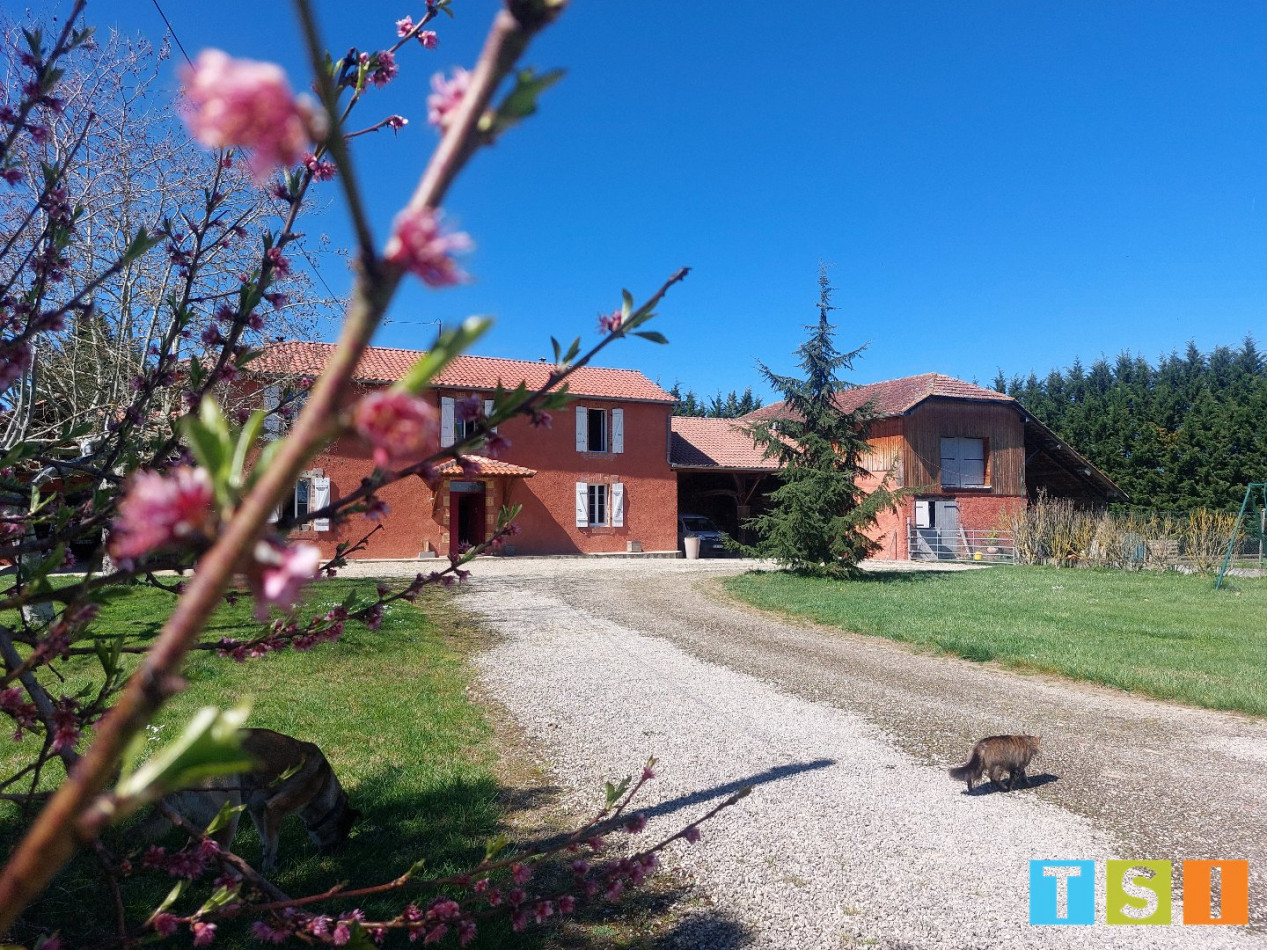 sale Maison Blajan - Photo 1