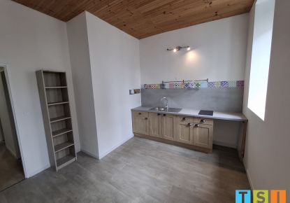 vente Immeuble Montrejeau