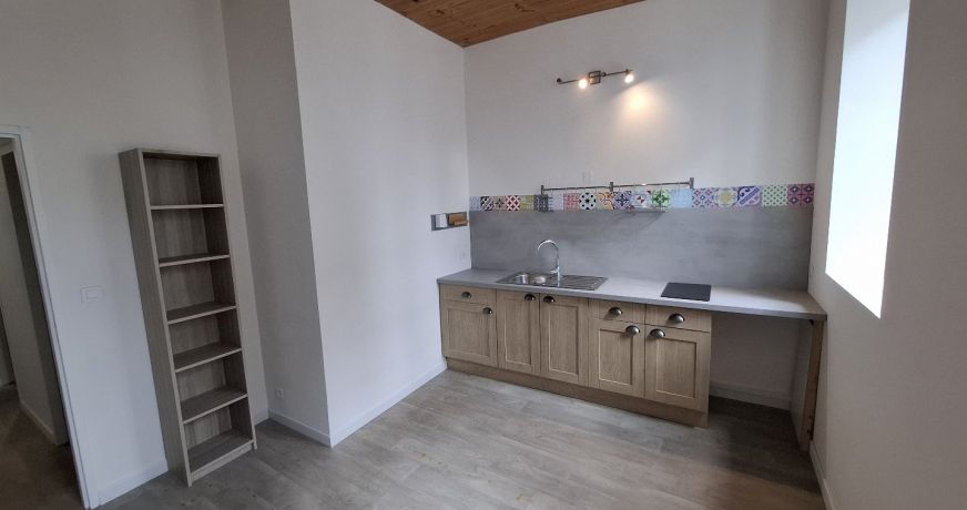 vente Immeuble Montrejeau