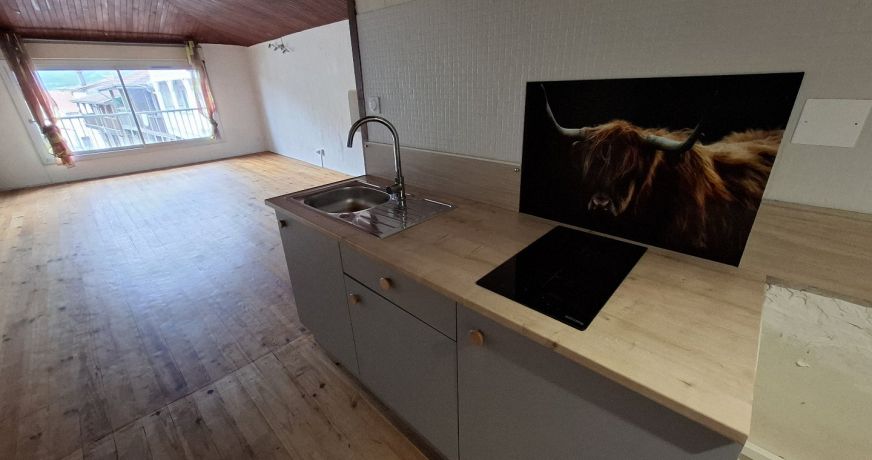 vente Immeuble Montrejeau