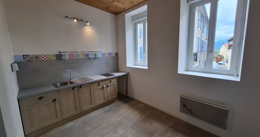 vente Immeuble Montrejeau