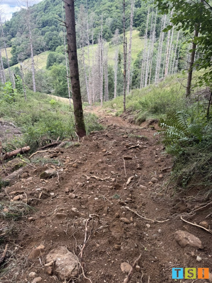 sale Maison Milhas - Photo 4