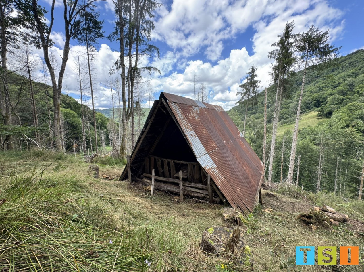 sale Maison Milhas - Photo 8