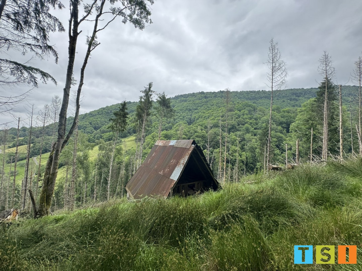 sale Maison Milhas - Photo 6