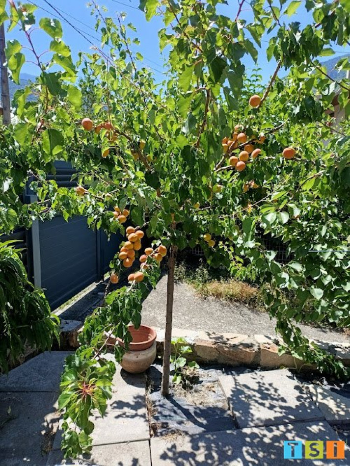 sale Appartement Bagneres De Luchon - Photo 3