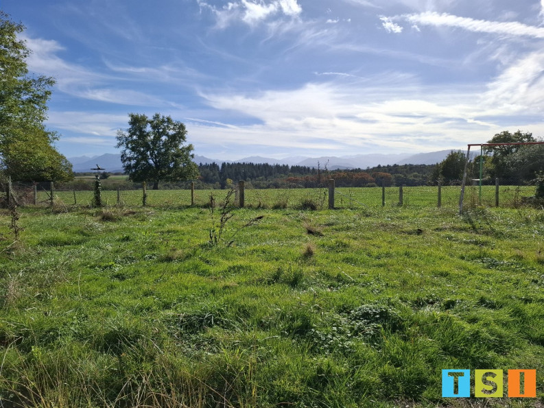 vente Maison Le Cuing - Photo 4