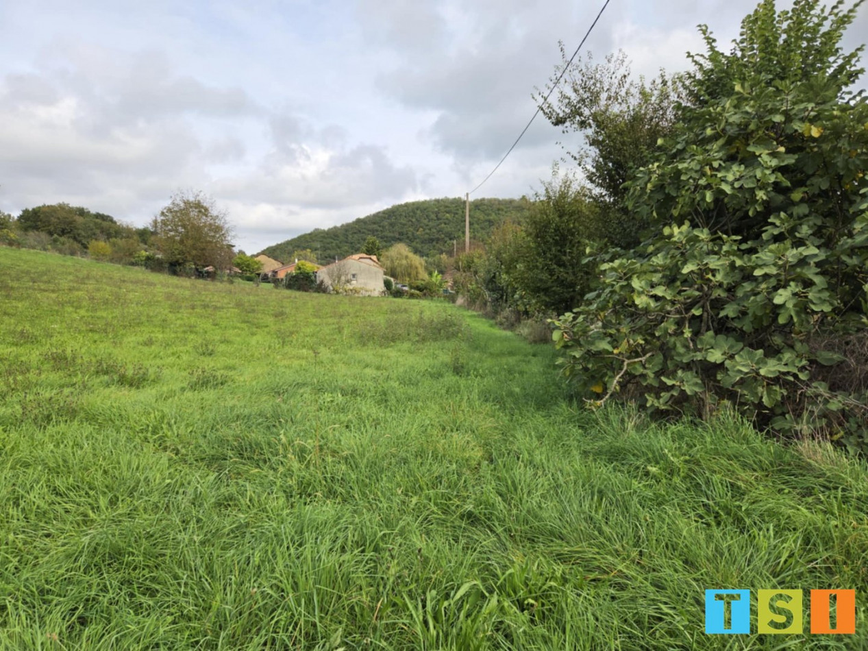 vente Terrain Larcan - Photo 6