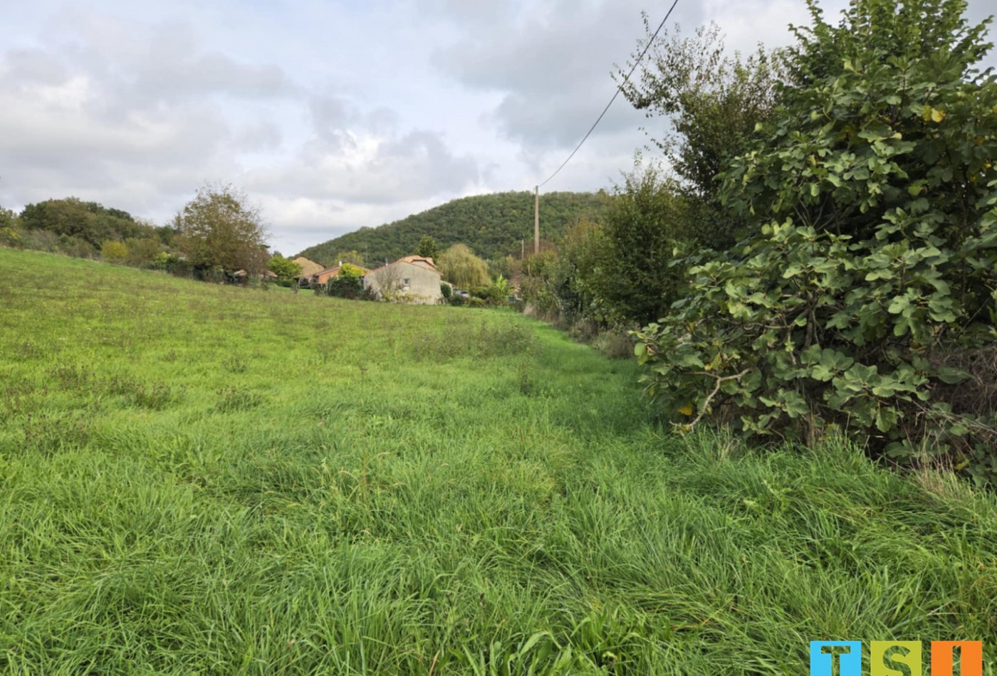 vente Terrain Larcan - Photo 6