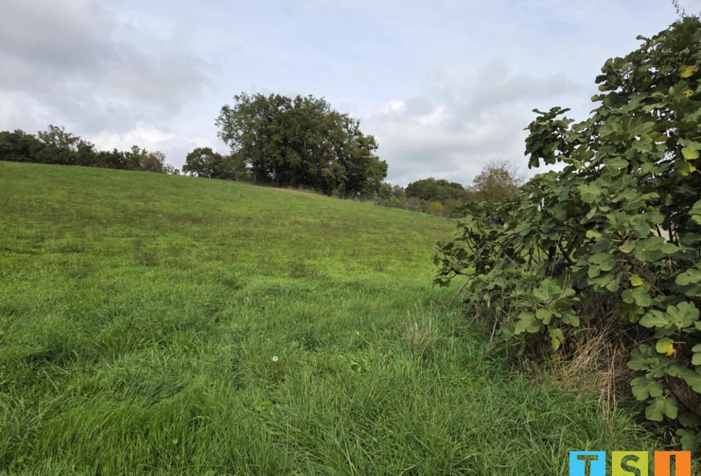 vente Terrain Larcan - Photo 8