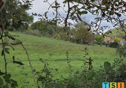 vente Terrain Larcan