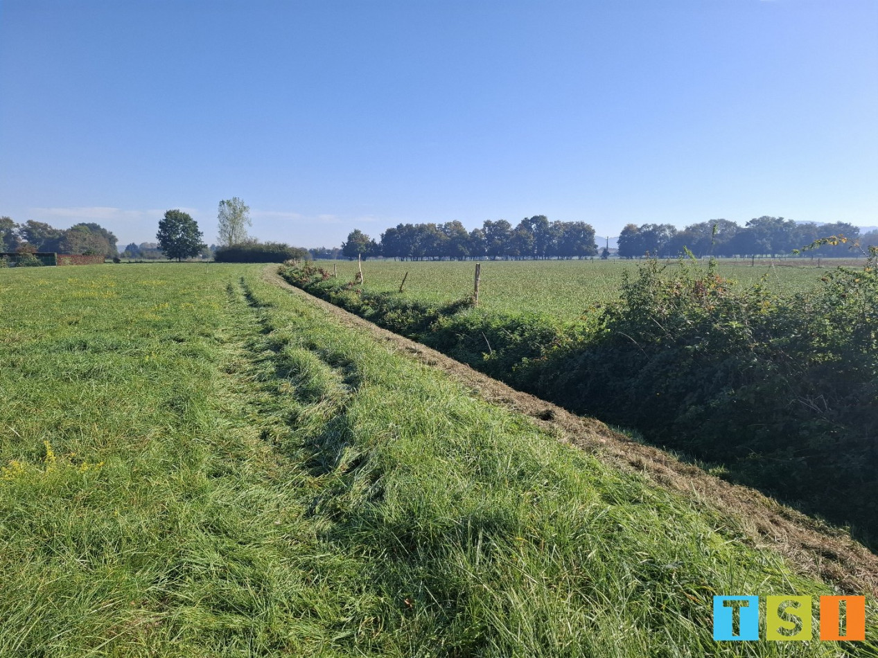 sale Terrain Martres De Riviere - Photo 2