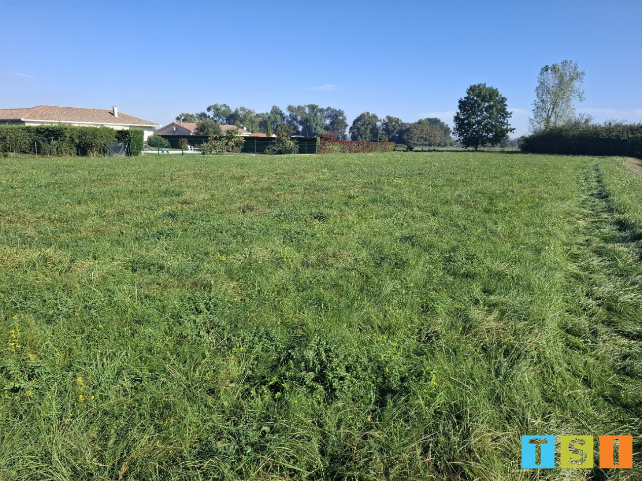 sale Terrain Martres De Riviere - Photo 5