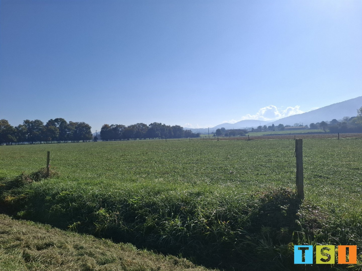 sale Terrain Martres De Riviere - Photo 4