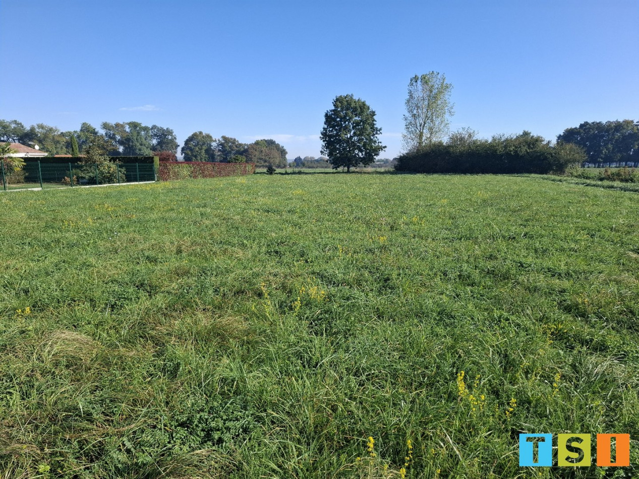 sale Terrain Martres De Riviere - Photo 3