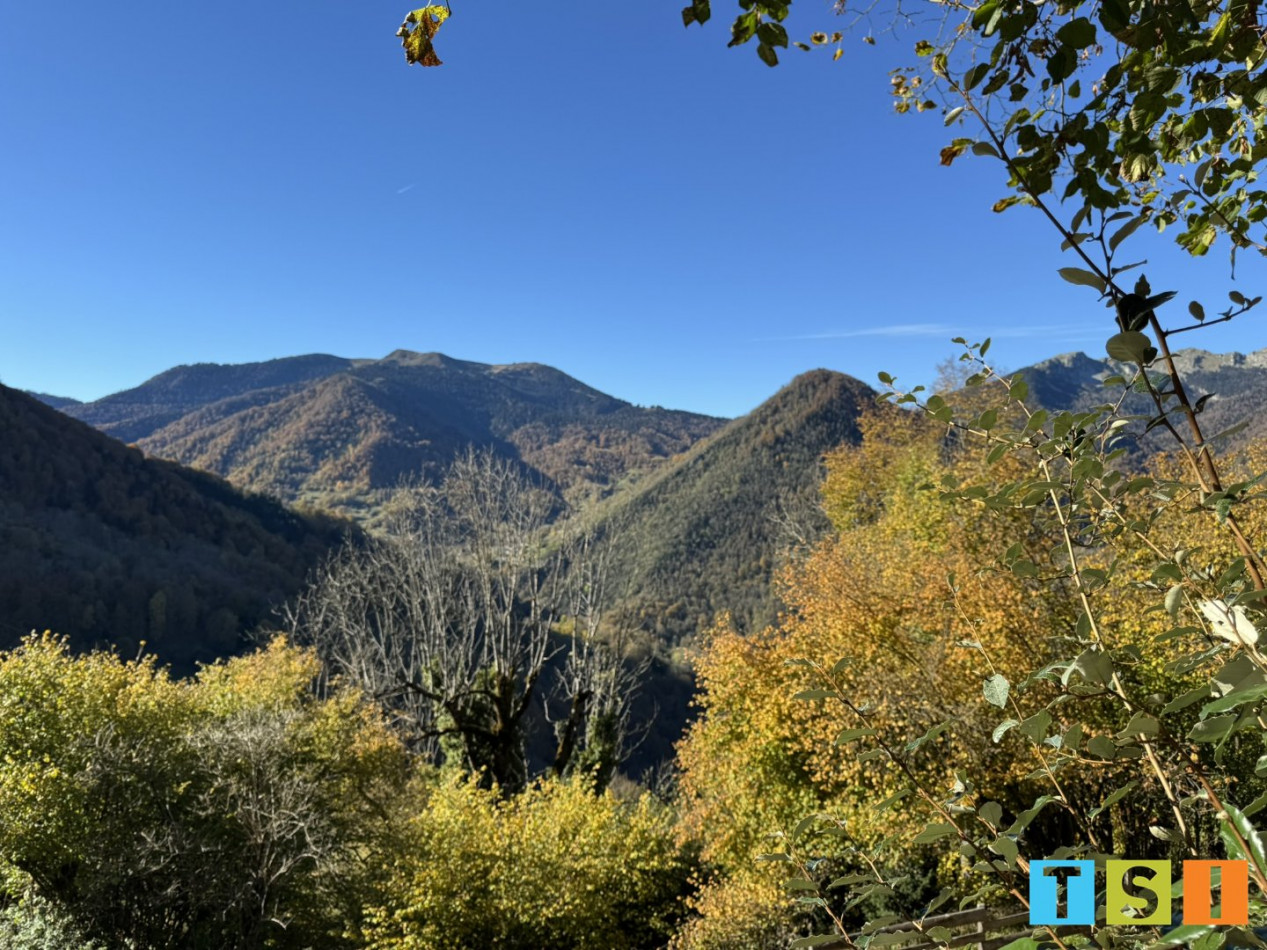 vente Bergerie Couledoux - Photo 2