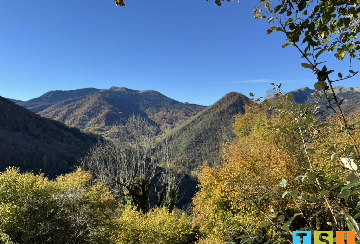 vente Bergerie Couledoux - Photo 2