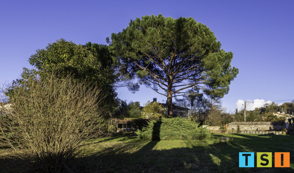 vente Maison de caractère Rieux -volvestre - Photo 2
