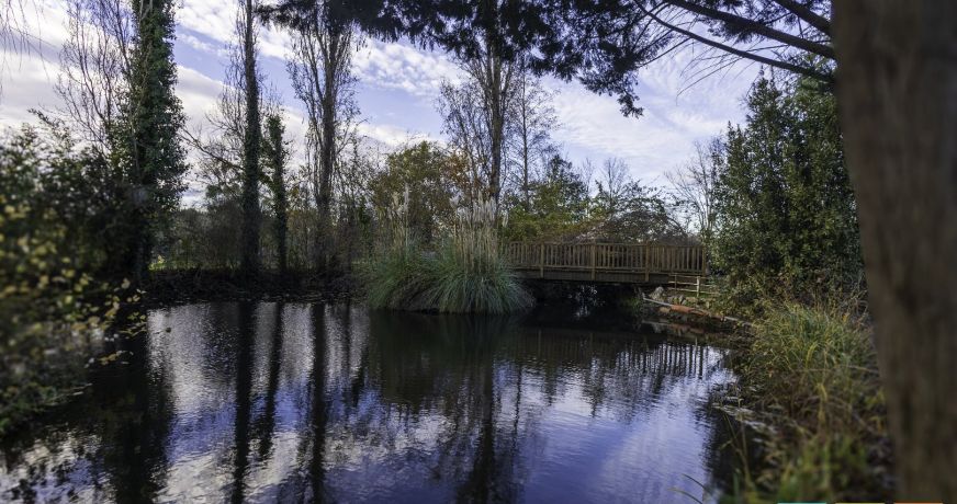 vente Maison de caractère Rieux -volvestre