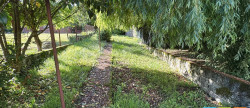 vente Maison bourgeoise Saint Plancard