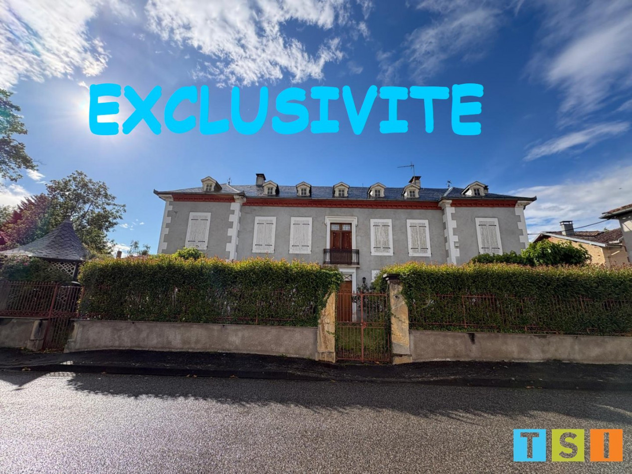 vente Maison bourgeoise Saint Plancard - Photo 1