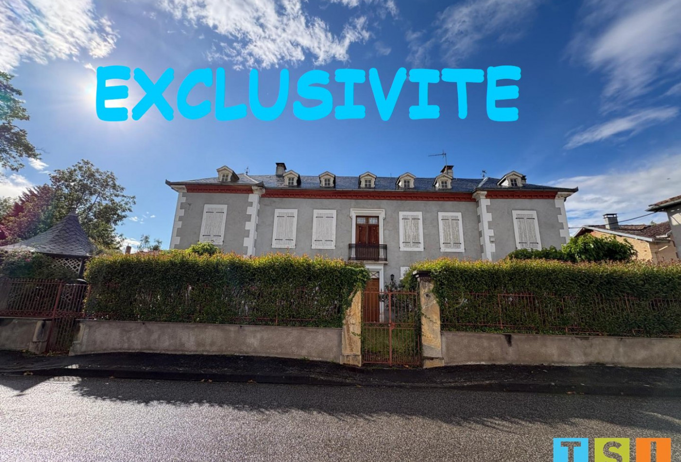 vente Maison bourgeoise Saint Plancard - Photo 1