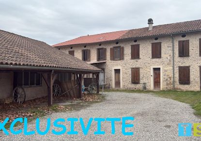 vente Immeuble mixte Saint Gaudens