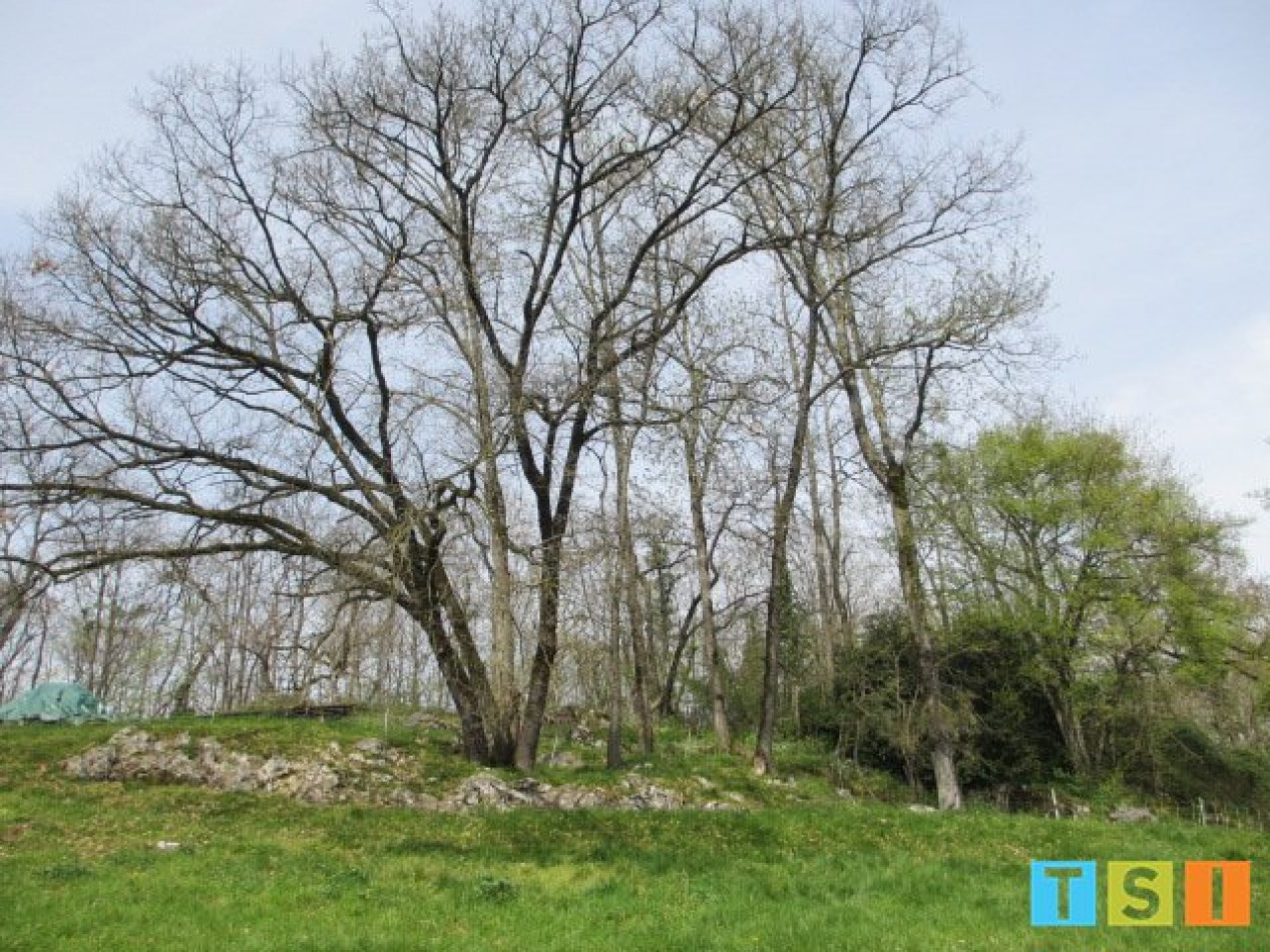 vente Maison Bize - Photo 9