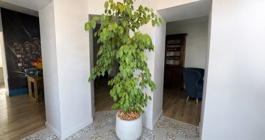 vente Maison Cazeres