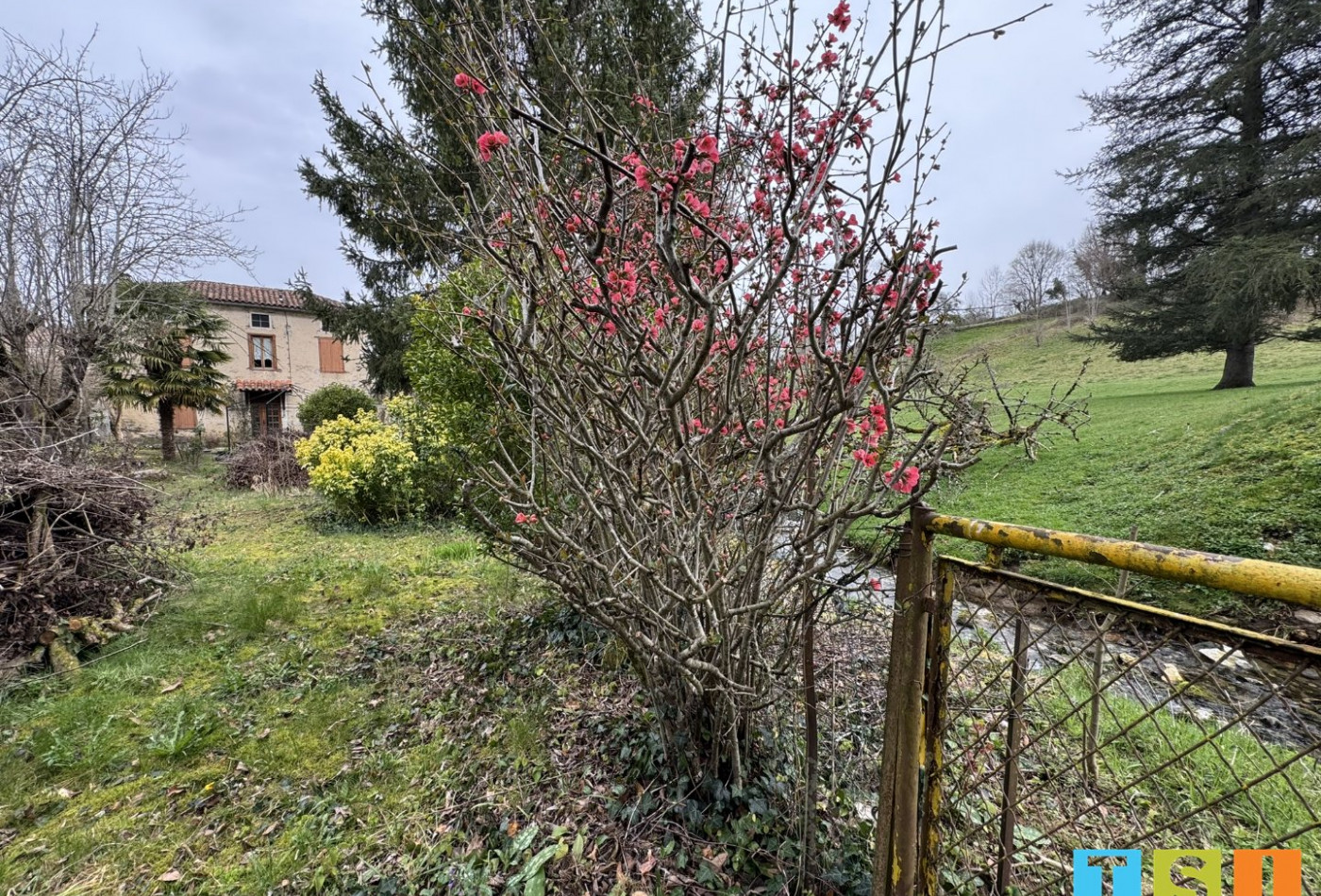 vente Maison Arguenos - Photo 3