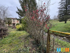 vente Maison Arguenos
