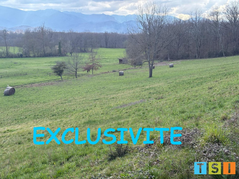vente Terrain constructible Ponlat Taillebourg - Photo 4