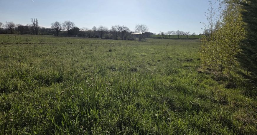 vente Terrain Boissede