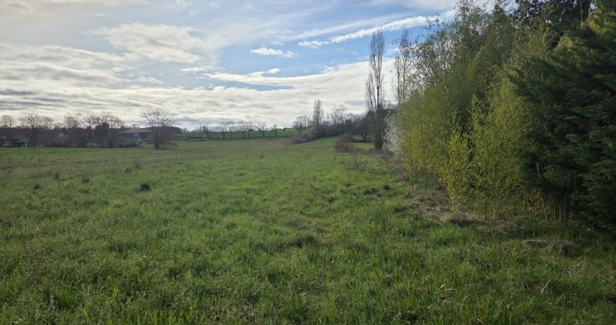 vente Terrain Boissede