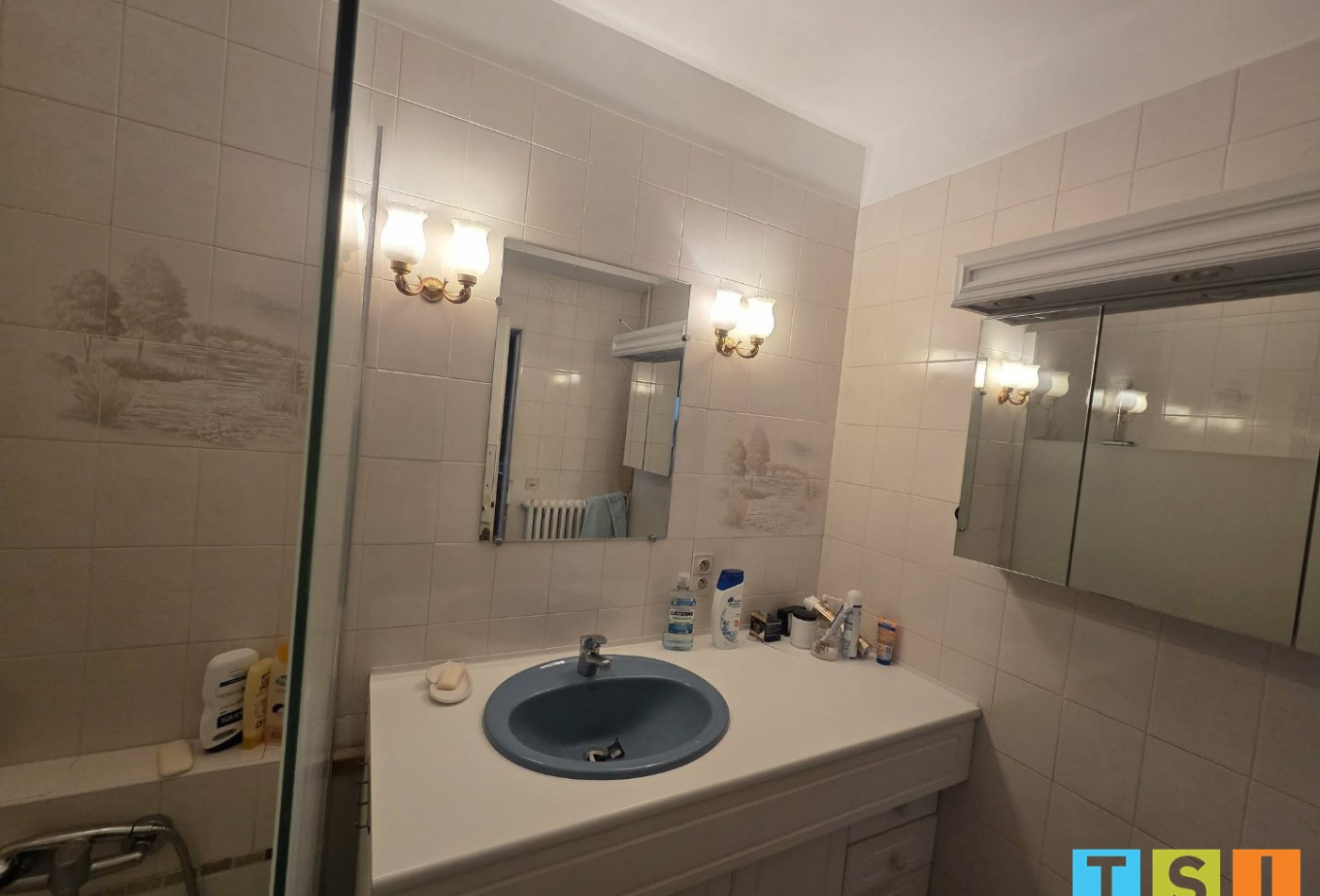 vente Maison Blajan - Photo 8