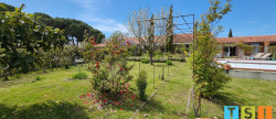vente Maison Rieux -volvestre