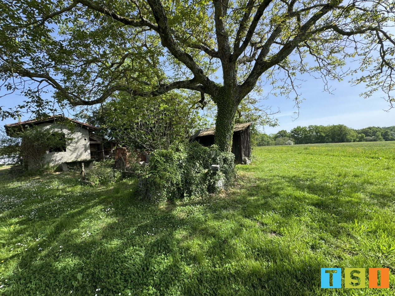 vente Maison Saint Plancard - Photo 4