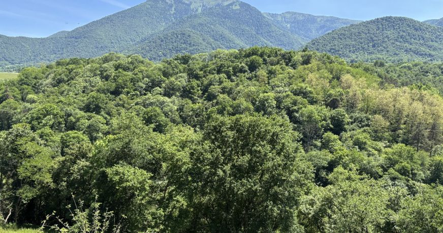 vente Maison Cazaunous