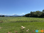 vente Maison Landorthe