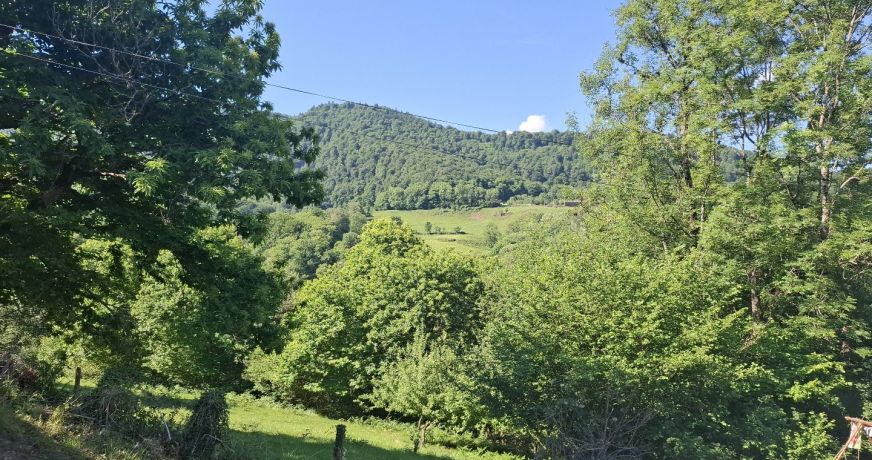 vente Maison Aspet