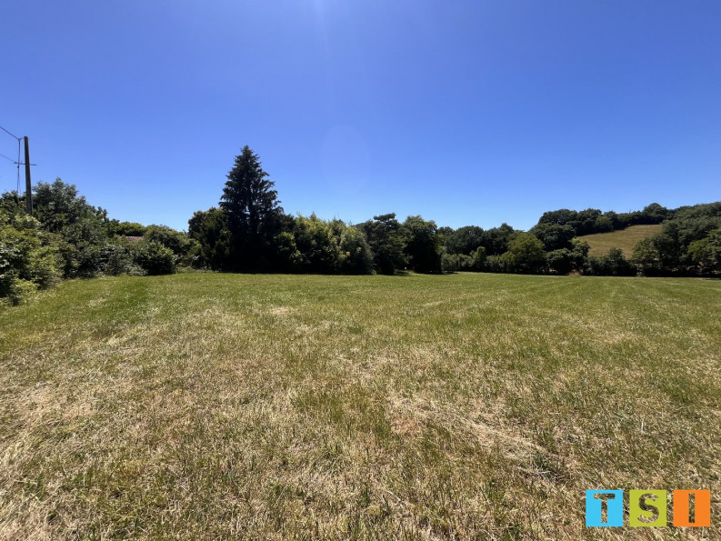 vente Terrain Aulon - Photo 2