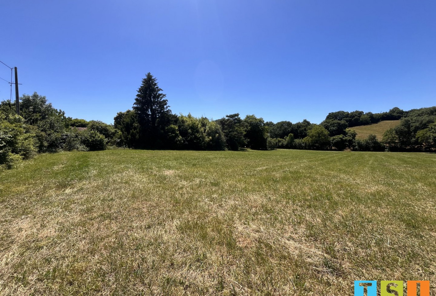 vente Terrain Aulon - Photo 2