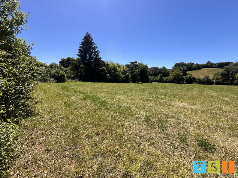 vente Terrain Aulon - Photo 3