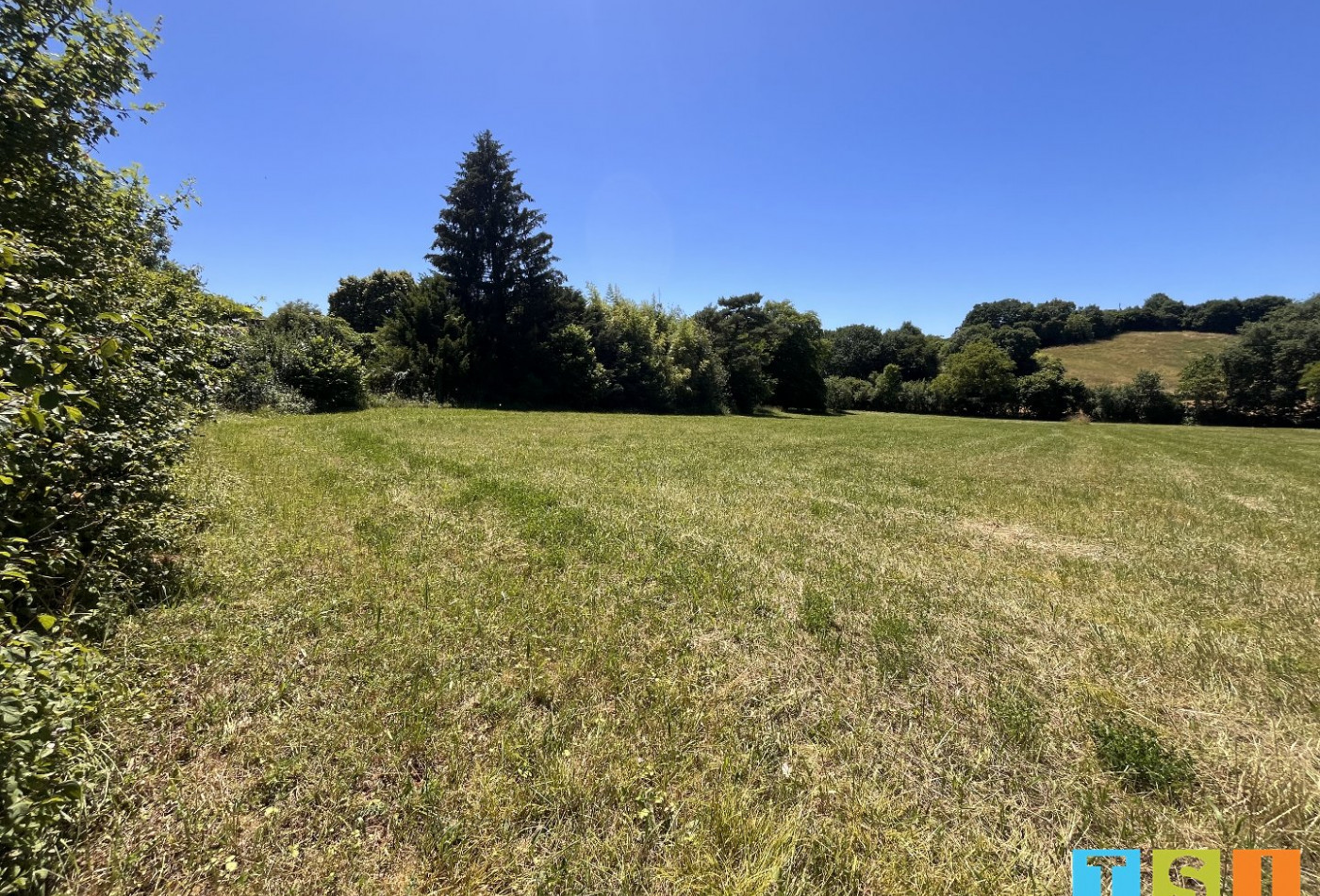 vente Terrain Aulon - Photo 3