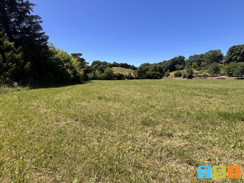 vente Terrain Aulon - Photo 1