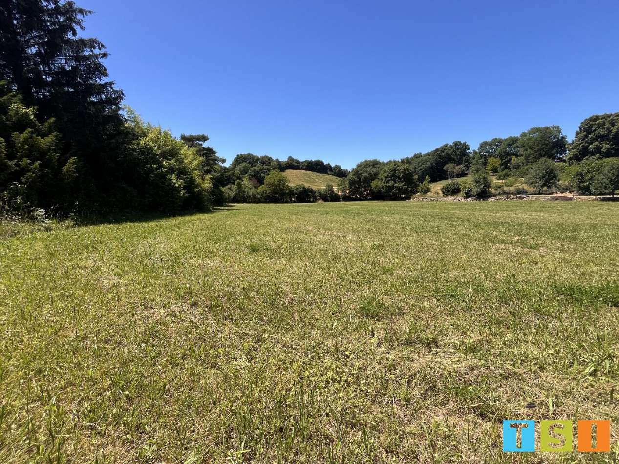 vente Terrain Aulon - Photo 1